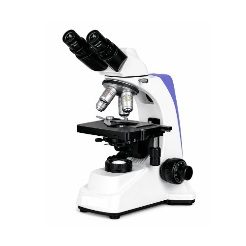 Binocular Microscope
