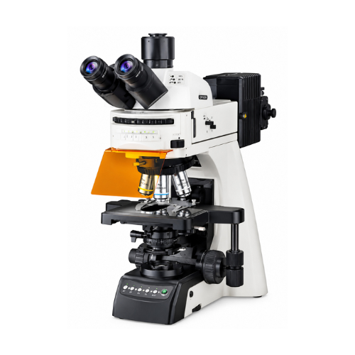 Fluorescent Microscope