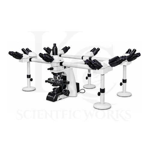 DECA HEAD MICROSCOPE KCX-175