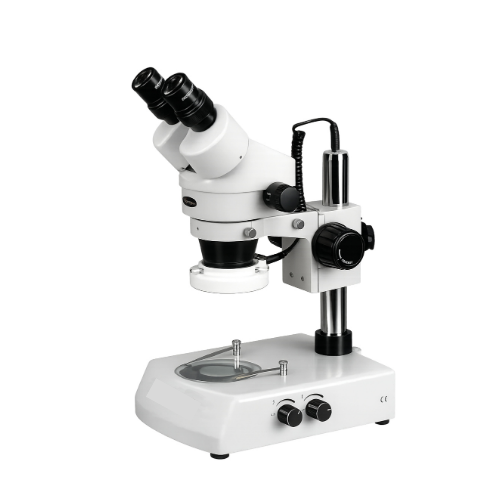 Stereo Microscope